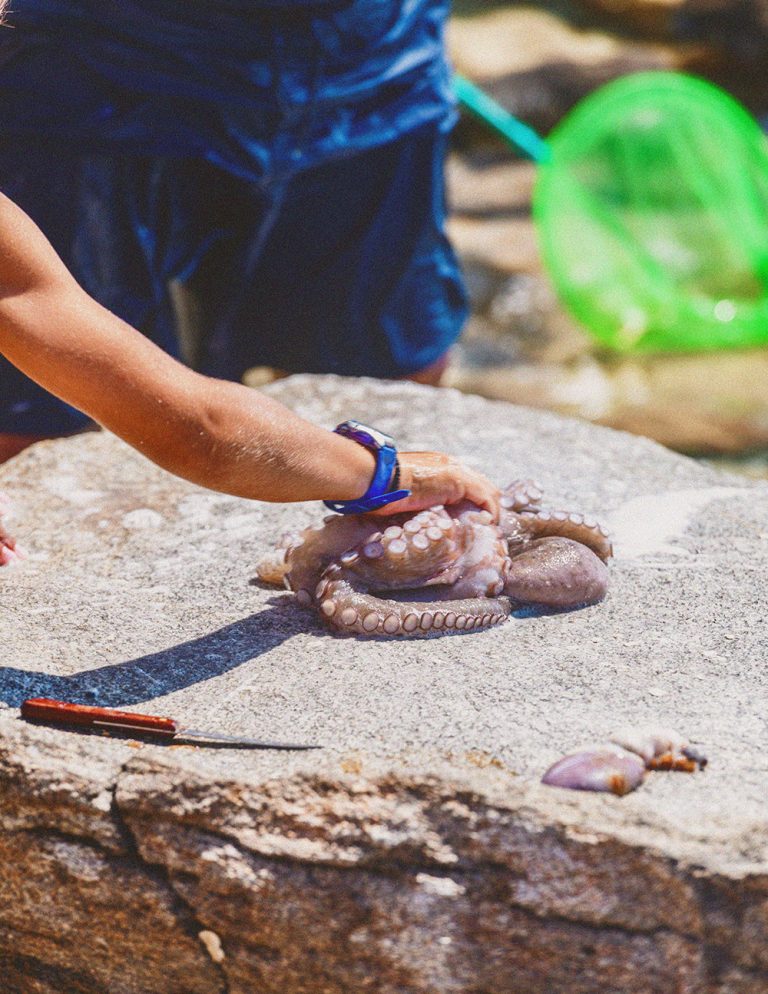 Octopus preparation on the island Paros, Greece