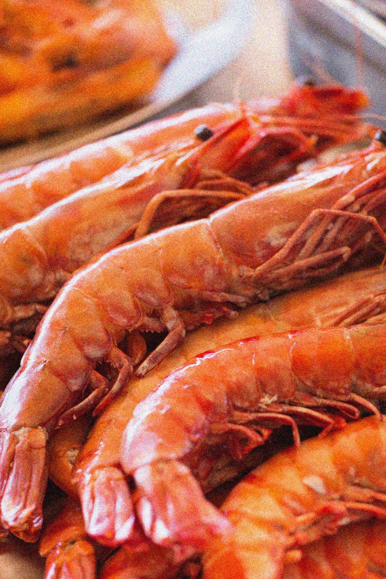 Close up of fresh shrimps