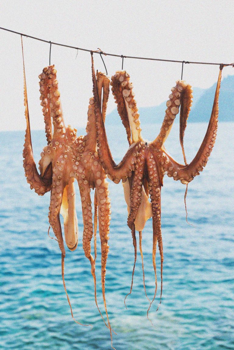 Traditional Greek sun-dried octopus on Santorini island at Amoud